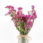 Fashion Style Beautiful Dried Flowers Statice Limonium Forget Me Not