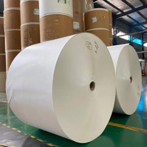 Wholesale Environmentally Friendly 185gsm PE Coated Kraft Paper For Cup Making from china suppliers