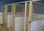 backyard Outdoor Welded Wire Dog Kennels