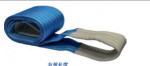 High Strength Polyester Webbing Sling 25mm Width Flat Eye End Fittings Length 1m