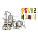 1750*2000*1730 mm Banana Chip Potato Chips Twist Deep Fryer Vacuum Frying