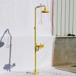 professional protection emergency safety shower eye face wash station