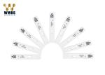 InfluenzaB Infection Rapid Fluoroimmunoassay Test Kit WWHS High Sensitivity FIA