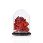 Handmade Borosilicate D3.94xH6.3 Inch Glass Cloche Dome