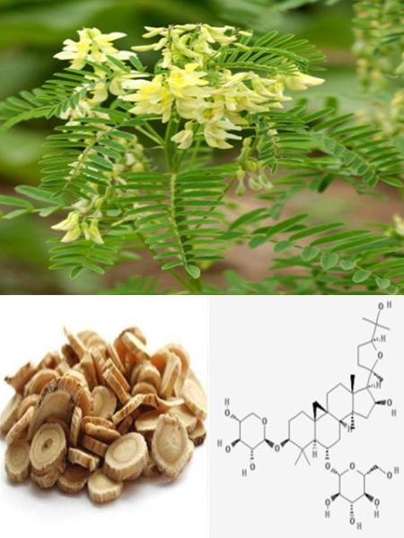 Manufacturer supply Astragaloside IV 0.3%-98%, CAS No.: 84687-43-4, 100%