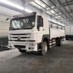 Sinotruk HOWO Light Duty 4x2 Heavy Cargo Truck 290HP Box Truck Lorry Van Goods