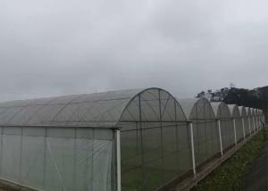 Wholesale Glass Tomato Plant Greenhouse With Hydroponic Good Weather Resistance from china suppliers