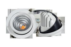 Wholesale adjustable led downlight 20w 30w 40w 50w 60w SMD COB gimbal led downlight from china suppliers