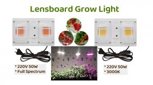 Wholesale Waterproof LED Light Bar Module With 50000h Lifespan 120 LM Luminous Flux from china suppliers