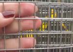 50x50mm Stainless Steel Welded Wire Mesh 3mm Diameter For Zoo