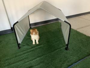 Wholesale Compact and Portable Grey Color Dog Shelter 4' x 4' x 3' Galvanized Steel Pet Shed from china suppliers
