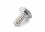 Petrochemical Facilities Stainless Steel Carriage Bolts DIN603 Big Fastening
