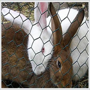 Wholesale hexagonal wire mesh from china suppliers