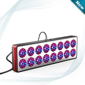 Wholesale Wholesale LED Grow Lights Hydroponics Full Spectrum LED Growth Panel 600w led grow lights from china suppliers