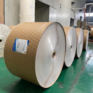 Wholesale 135gsm - 340gsm PE Coated Paper Roll Waterproof For Paper Cup from china suppliers