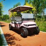 4 Seater Electric Golf Cart Pink Outdoor Theme Park New Design Off-road