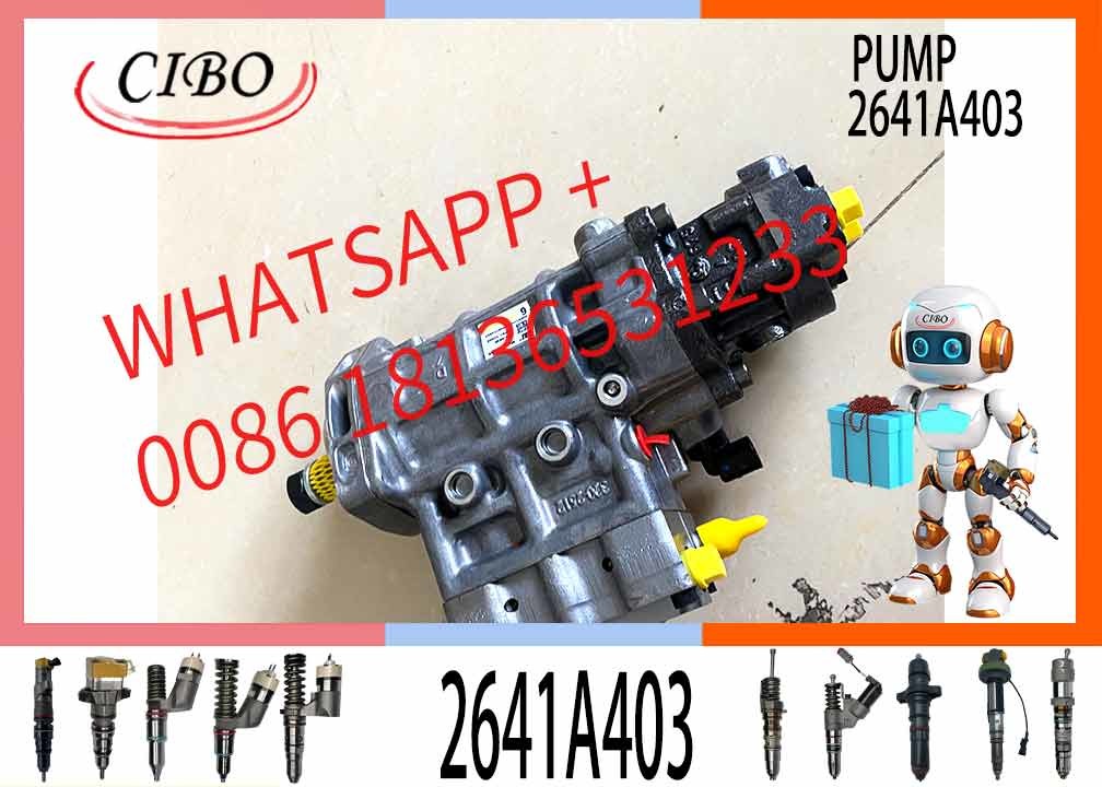 Fuel Injection Pump 2641A403 2641A405 10R-7659 3240532 10R7659 For C4.2 C4.4 C6.6