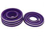 Purple 2'' 3'' 4'' 5'' NBR HNBR FKM PTFE Seals Ring Hammer Union Seal for Oil