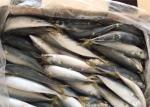 BQF 60g 70g Whole Round High Protein Pacific Fresh Frozen Mackerel