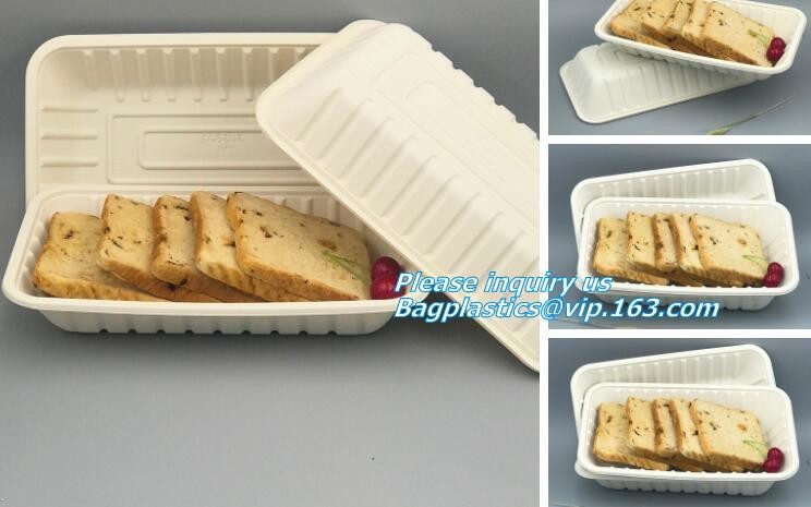 Premium Meal Prep Containers 3 Compartment BPA-FREE Food storage Microwavable Dishwasher Safe plastic Lunch bento box