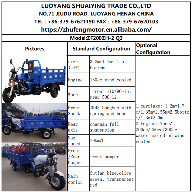 0.38T Motorized Adult Tricycle