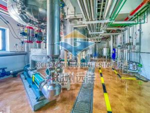 Wholesale Cold Pressing Equipment For Cottonseeds Oil Production With Stainless Steel Design from china suppliers