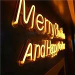 signs for sale channel camera neon sign