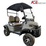 Lithium Battery Electric Hunting 2 Seater Golf Cart Buggy Car