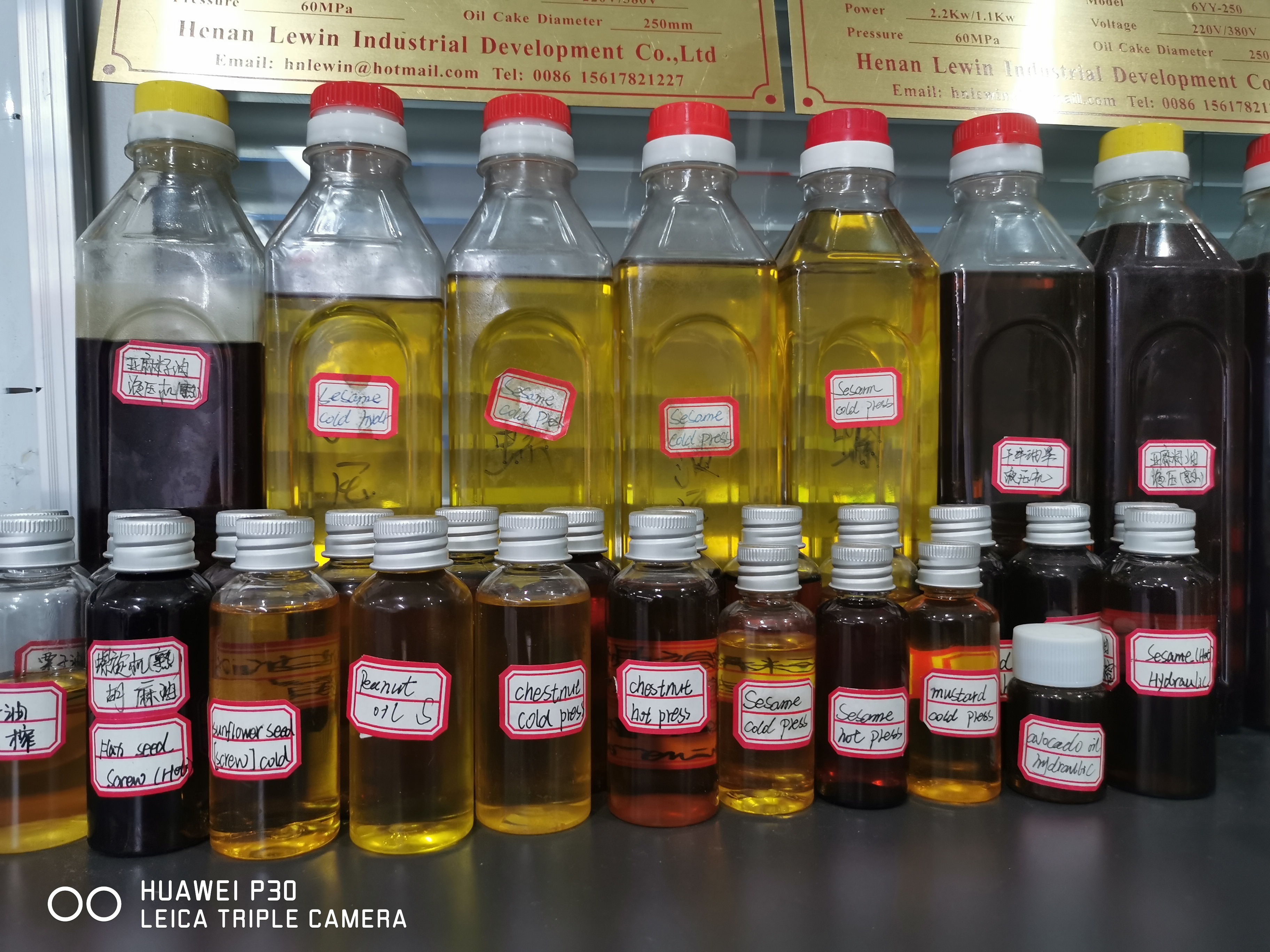 Lewin Hydraulic Oil Presser Machinery Coconut Cold Oil Making Machine Equipment