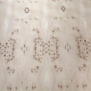 Wholesale Mappa Burl Wood Veneer Sheet Natural Plywood For Flooring Furniture from china suppliers