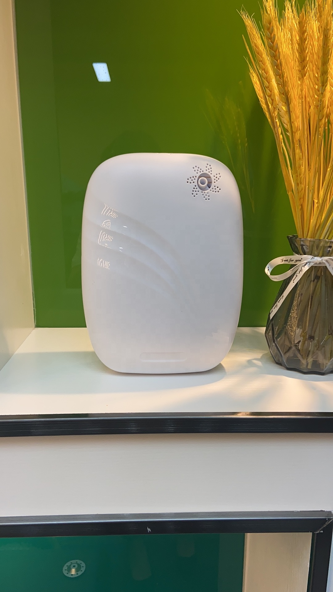 Aroma Therapy 12V 6W 150ml Essential Oil Diffuser Machine