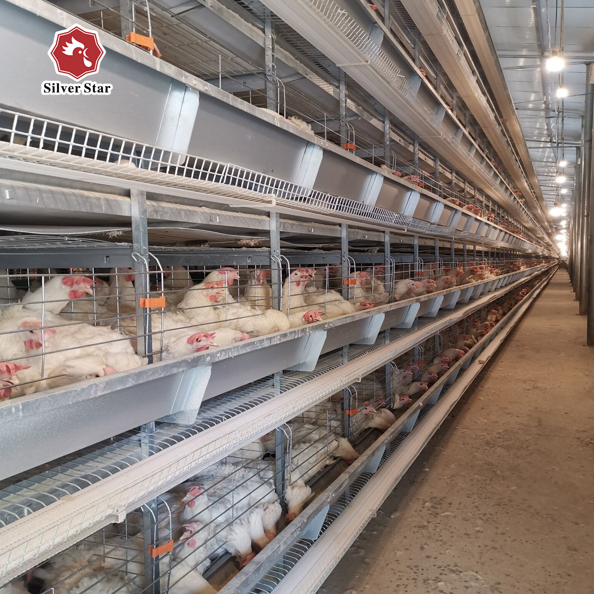 Fully Automatic Battery Chicken Poultry Cage Egg Layer Farming Equipment H Type