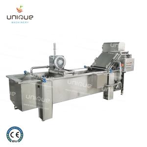 Wholesale 850 KG Capacity Leaf Vegetable Bubble Washing Line for Manufacturing Plant Production from china suppliers