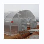 Cooling System Single Span Agricultural Greenhouses For Tomato Agriculture