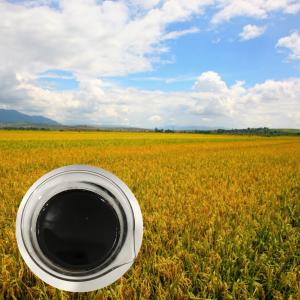 Wholesale 30% Liquid Amino Acid Organic Nitrogen Fertilizer With 6.5% Organic Nitrogen from china suppliers