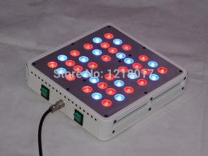 Wholesale 2016 New Apollo 4 led grow light 40*5w For Indoor Medical Plants from china suppliers