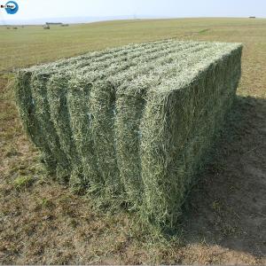 Wholesale High Quality PP Twine Manufacture Baler Twine For Agriculture In China from china suppliers