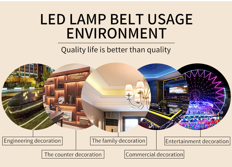 Changeable Color 48leds/m 310lm 11.5W Flexible RGB LED Strip