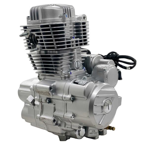 DAYANG 200cc Tricycle Air Cooling Engine for Peru Three Wheel Motorcycle Trike