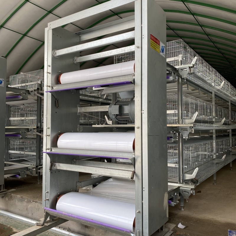 H Type Egg Chicken Layer Cage Price Chicken Wire Cage for Poultry Farm