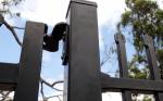 Powder Coated Pressed Spear Steel Security Designs Tubular Steel Fence