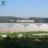 Buy cheap 30m/50m/60m Length Multi Span Greenhouse Vegetable Plant Plastic Film Greenhouse from wholesalers