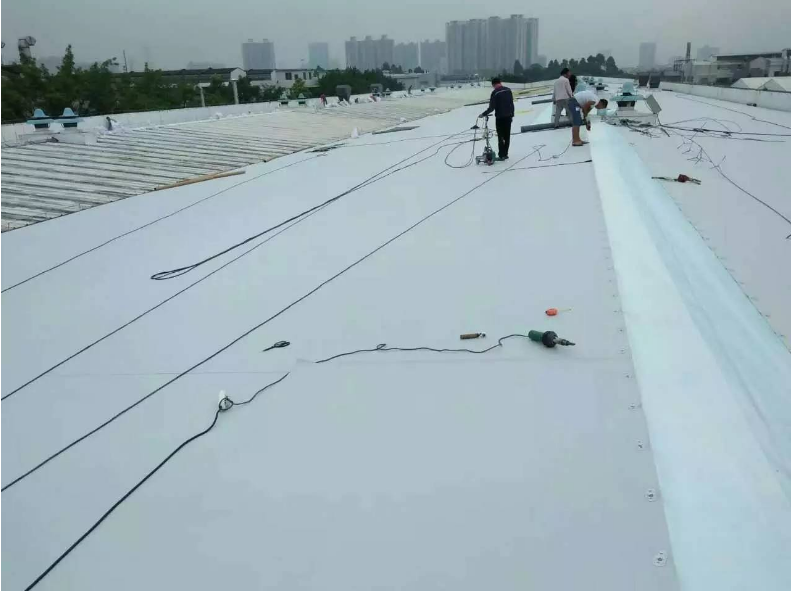 PVC Waterproof Membrane for Waterproofing Customized According to Customer Requirements
