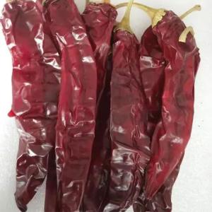 Wholesale Spice Up Your Dishes With Mild Chili Powder - Fine Powder Texture from china suppliers