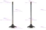 Engine Valve for D7E