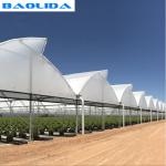 High Multi Span Strong Plastic Greenhouse Saw Tooth Roof Ventilation