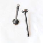 KA24D Machinery Parts Engine Valve For Car Engine Parts 13201-53F02 13202-53F00