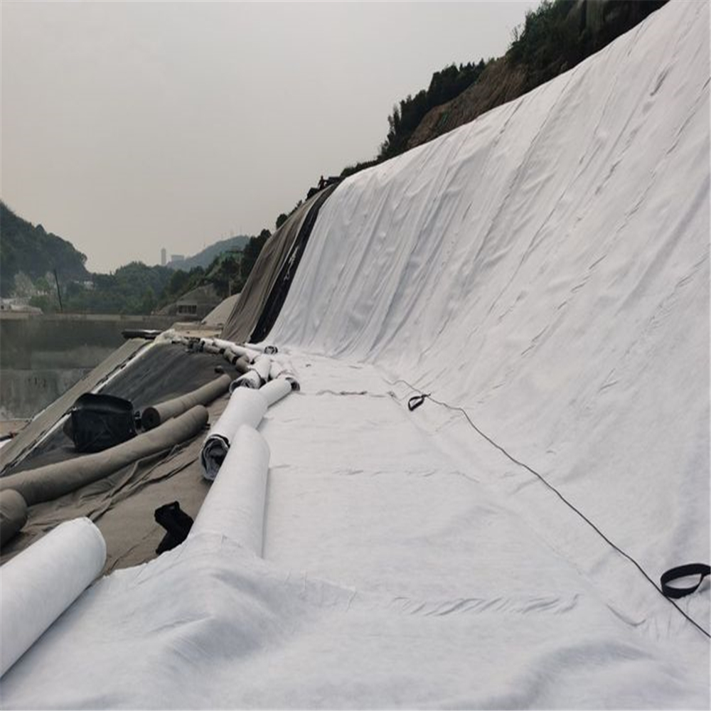 6m Width Black and White Geonet Geotextile Composite Drainage Geonet at for Landfill