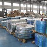 1mm Stainless Steel Strip 0.2mm SS 310 No.1 Finish Cold Rolled Or Customized