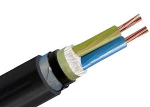 Wholesale Low Voltage Armoured Power Cable 0.6/1kV 2 Core Cu / XLPE / STA / PVC IEC from china suppliers